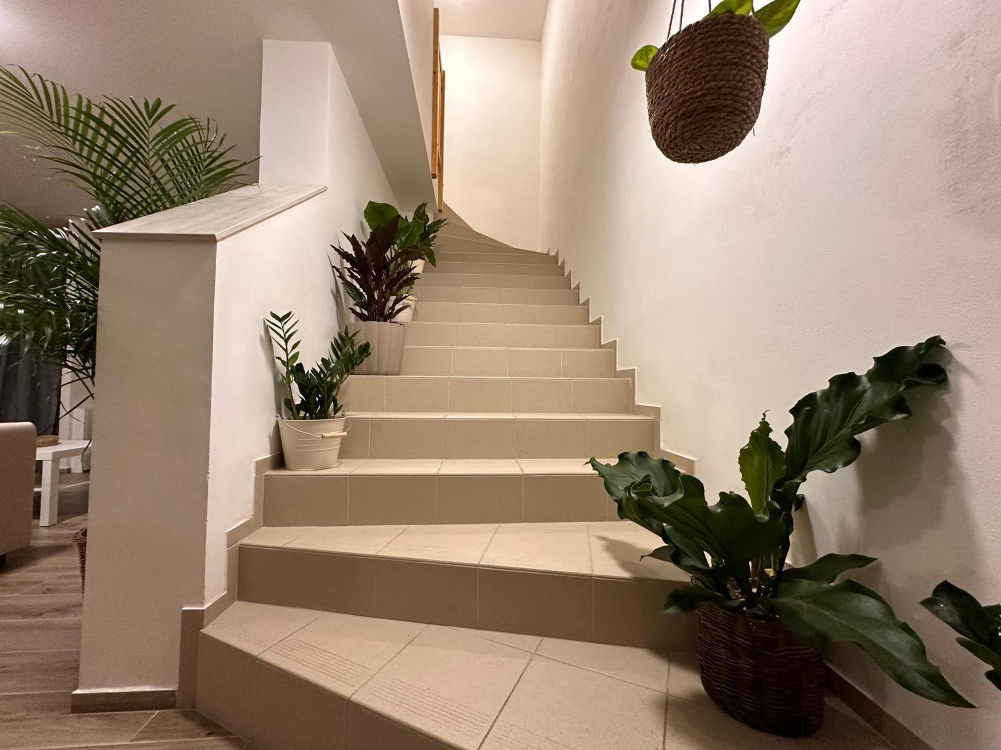 Apartmany Monastery Suites Zirec Dvur Kralove nad Labem Exterior photo