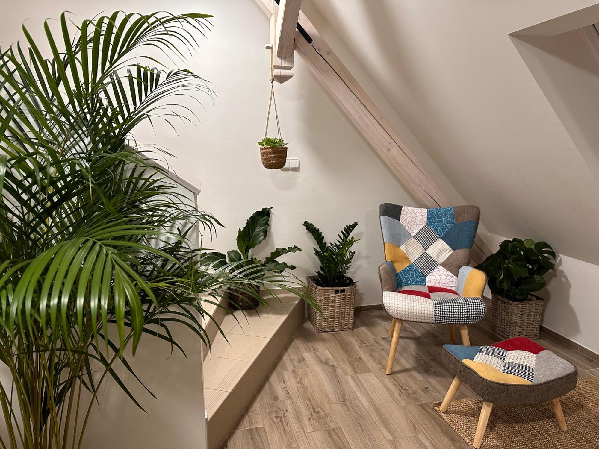 Apartmany Monastery Suites Zirec Dvur Kralove nad Labem Exterior photo